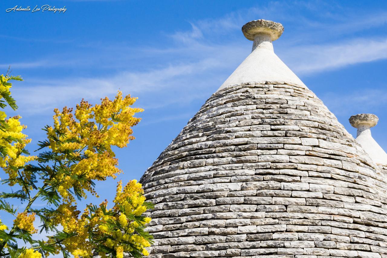 Da Santino Bed & Breakfast Alberobello Dış mekan fotoğraf